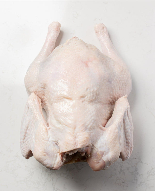 Poultry - Turkey Whole Premium Fresh Ontario Grade A 15lb