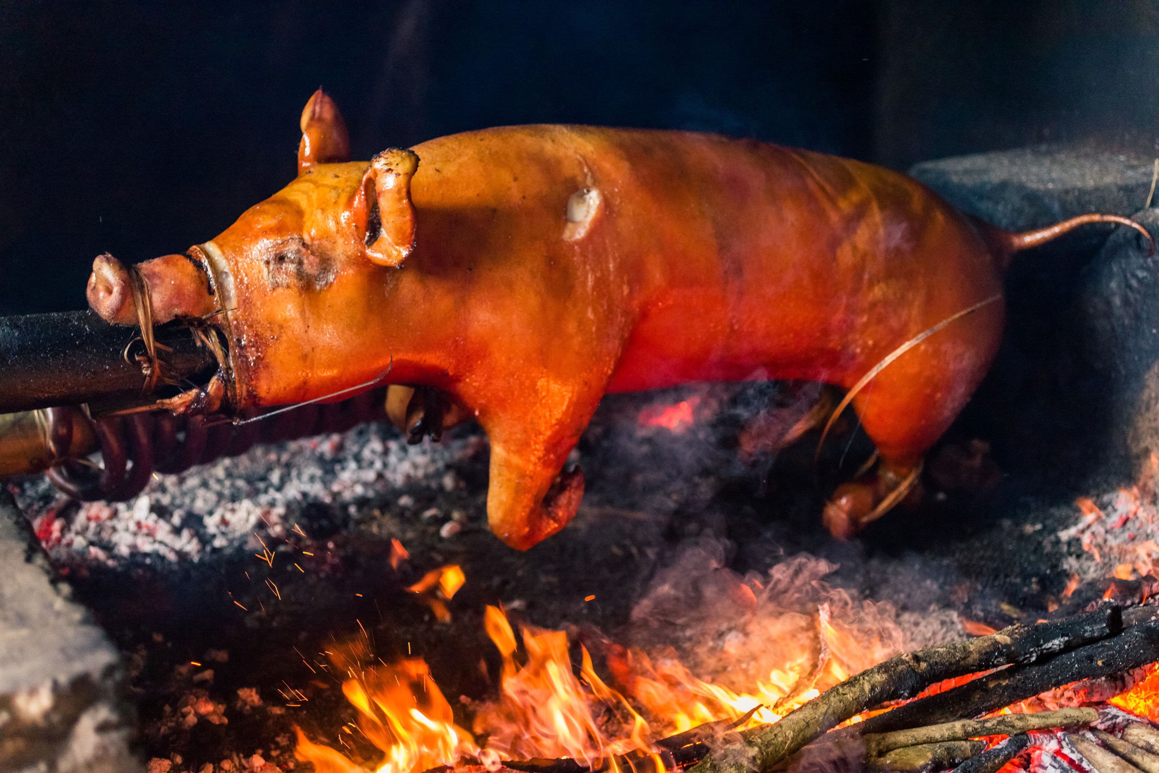 Pork - Whole Pig (Suckling) Vegetable-Fed Ontario 15lb