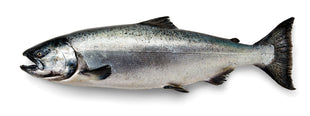 Seafood - Wild BC King Salmon Whole Skin-On 8lb