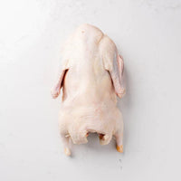 Poultry - Whole Duck (Rougie) 8lb