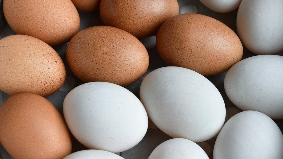 Poultry - Duck Eggs Cage-Free Washed Half Dozen