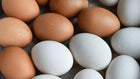 Poultry - Duck Eggs Cage-Free Washed Half Dozen