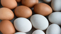 Poultry - Duck Eggs Cage-Free Washed Half Dozen