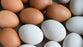 Poultry - Duck Eggs Cage-Free Washed Half Dozen
